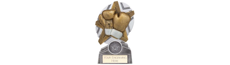 THE STARS BOXING RESIN TROPHY - 3 SIZES - 13CM - 17CM